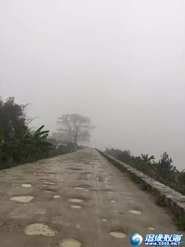 上华镇下陈村,木棉树这里,路面崎岖坎坷,下雨天就更不好走了
