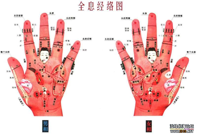 看手掌检查身体健康